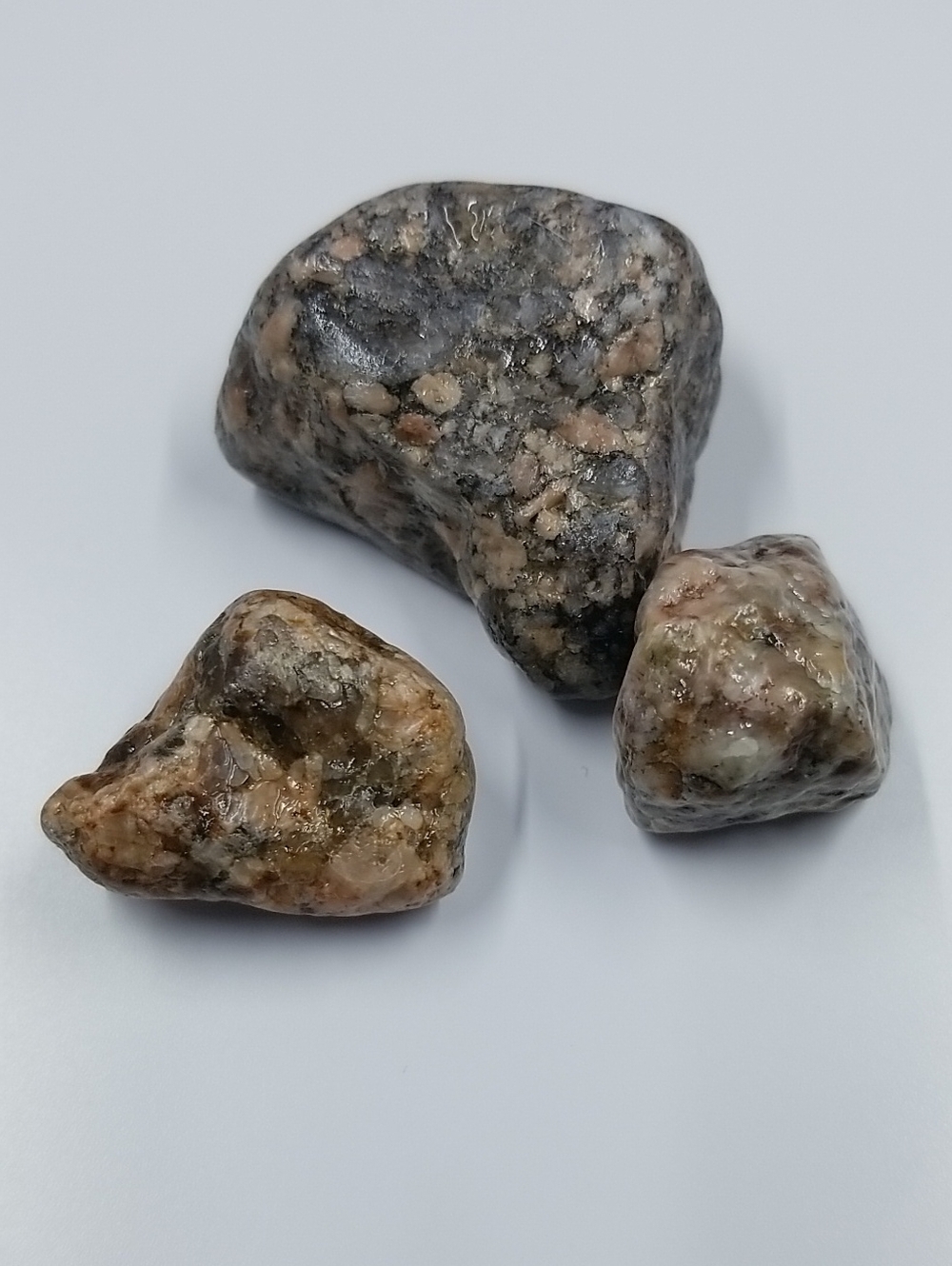 Varnished Rock Specimens - Pink Gray Speckled Lot